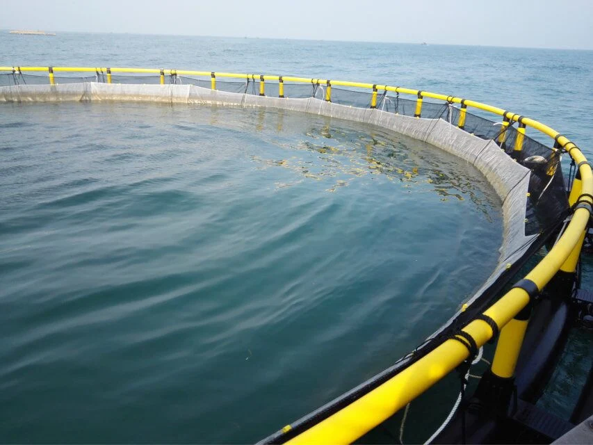 Acuicultura de Mar profundo cría de peces jaula neta