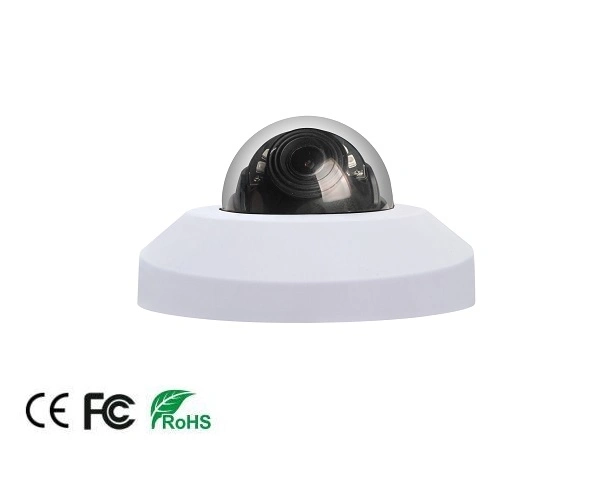 2MP Ai Smart IP Camera with Human Vehicle Detection Support People Counting CCTV IP Mini Dome Camera Poe