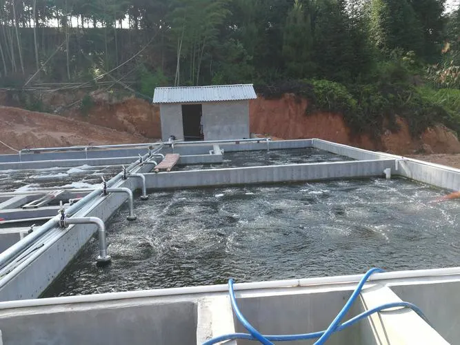 Professional Supplier Medical Wastewater Treatment