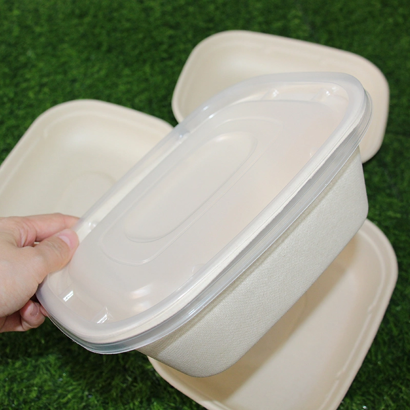 Professional Supplier Wholesale/Supplier Disposable Biodegradable Pulp Fiber Sugarcane Tableware