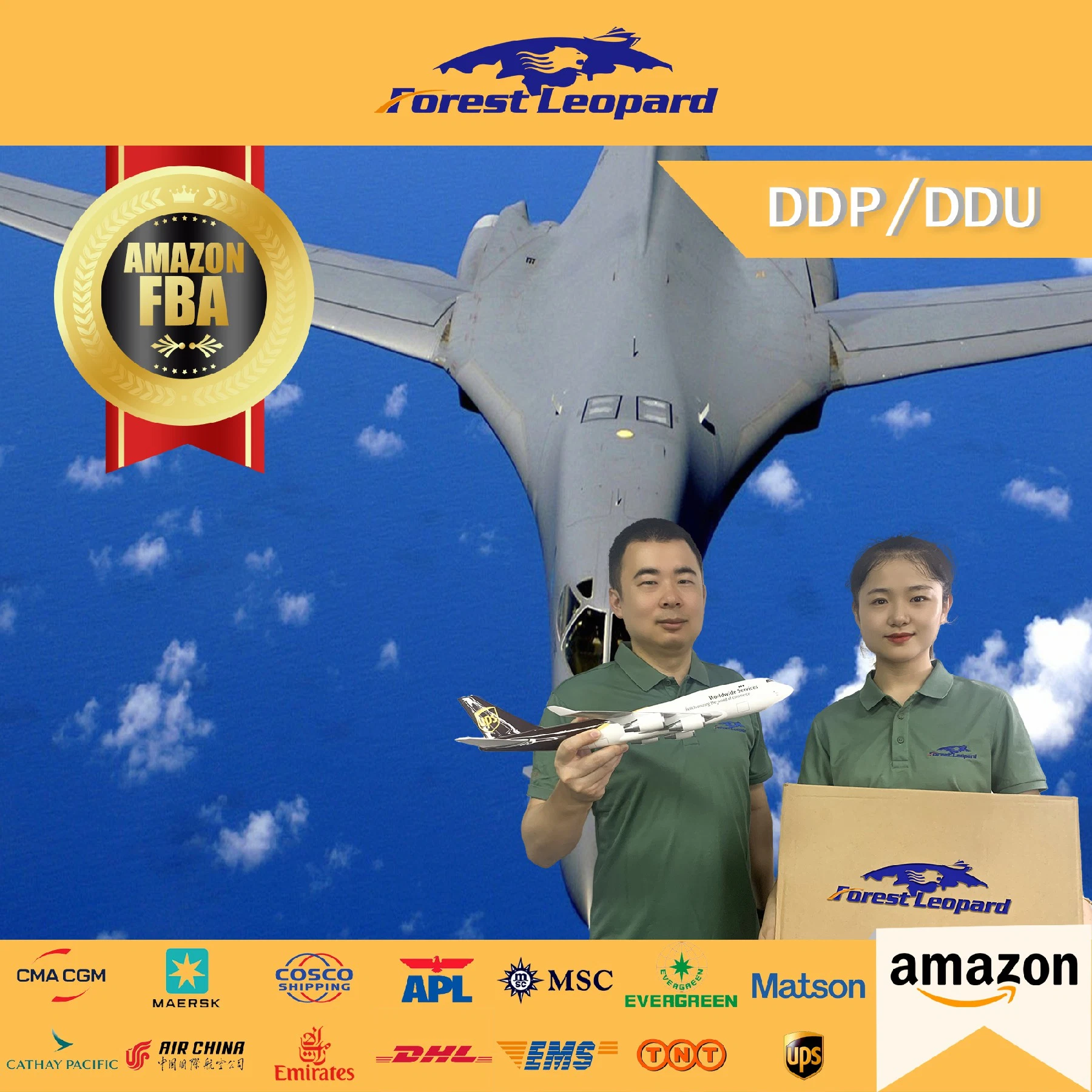 International Door to Door Air Cargo DDP Shipping to De EU USA From Shenzhen Freight Forwarder