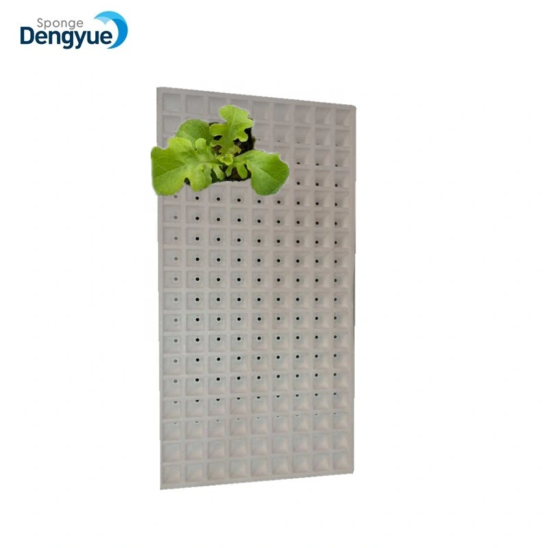 Light Weight Waterproof 200 Cells Hydroponic Polystyrene Seedling Trays