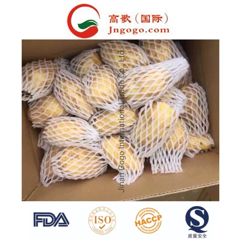 Neu Crop Good Delicious Potato (ab 200g)