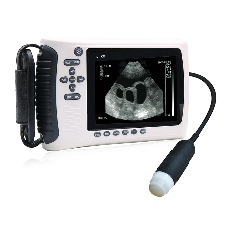 Bw Handheld Mecanmed China Vet Dog Cat Veterinary Scanner Ultrasound Machine Factory