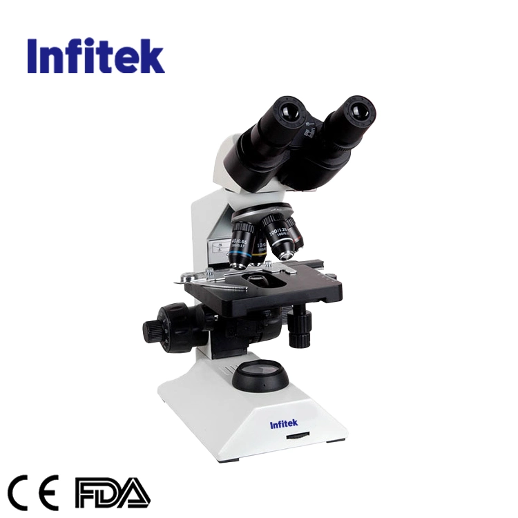 Infitek óptico Binocular microscopio biológico (Siedentopf)