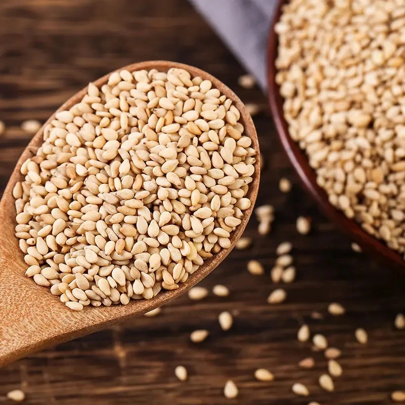 Natural Good Taste White Sesame Price Roasted Wholesale Sesame Seeds