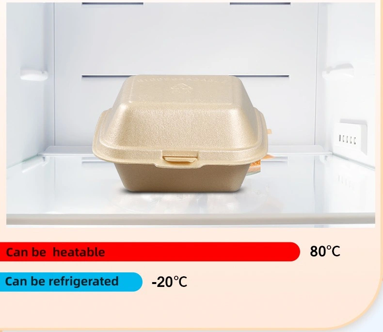 Amazon Hot Sale Food Container for Hamburg Salad