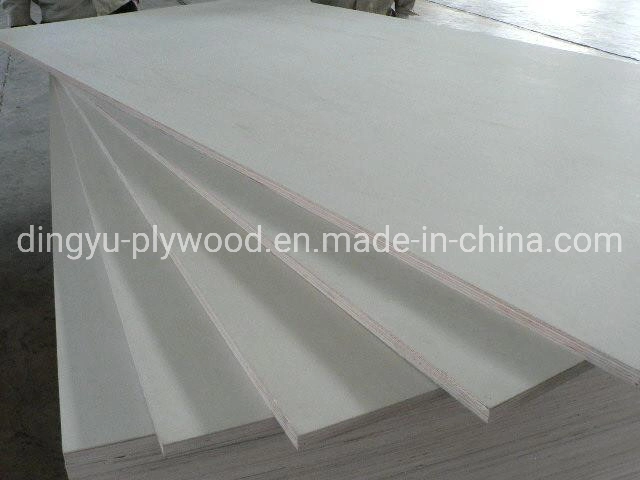 High quality/High cost performance  Mr Glue Bleached Poplar Plywood