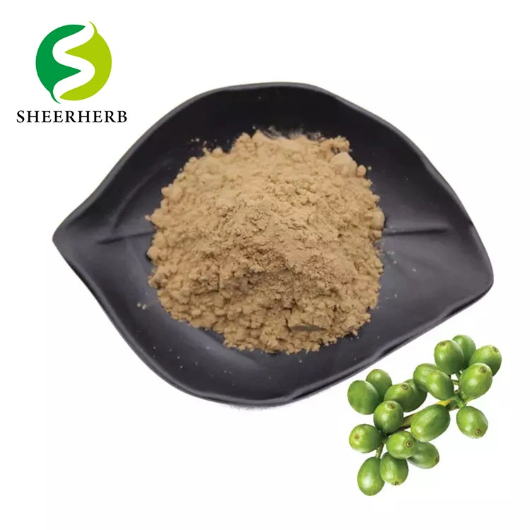 Factory Supply Green Coffee Bean Extract 50% Chlorogenic Acids