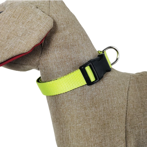 Durable Quick Released Padded Pet Dog Collar