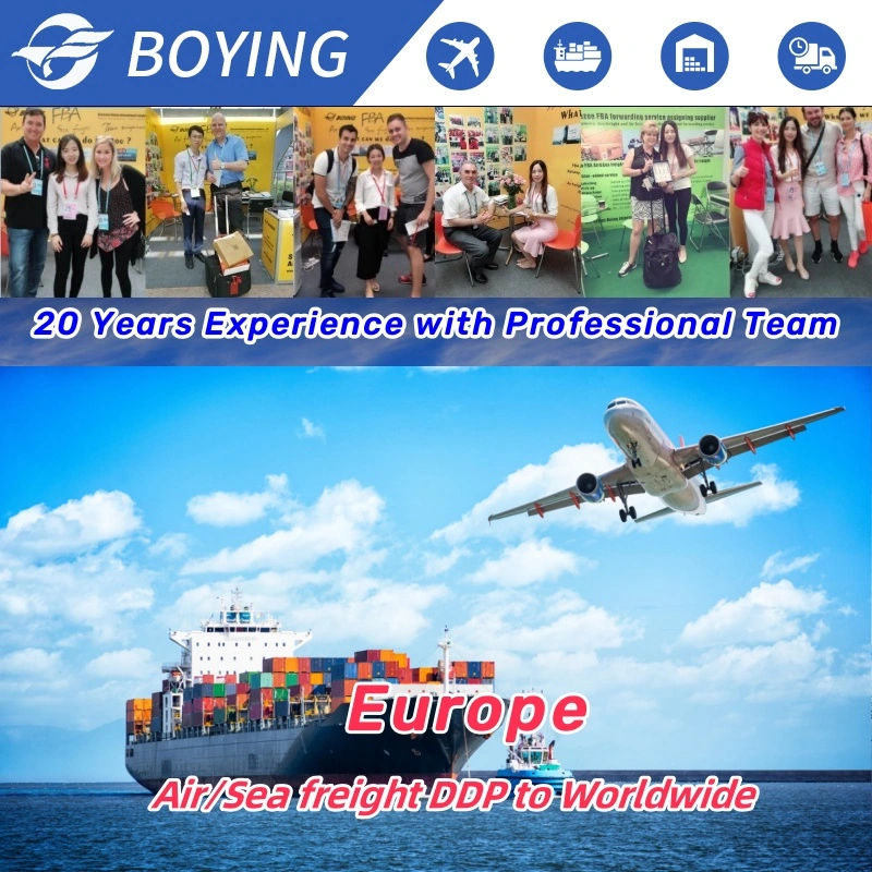 Reasonable Price Door to Door DDP Agent Sea Shipping LCL China to Germany Italy North America