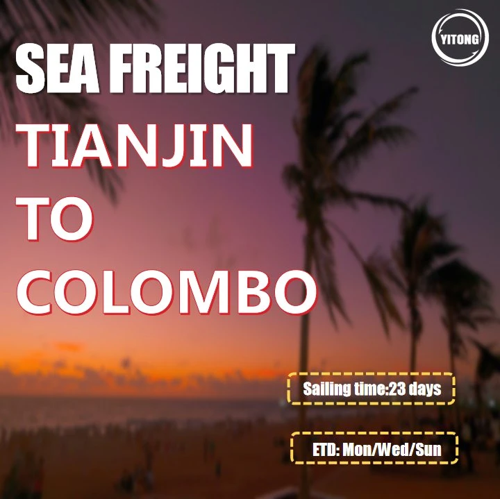 Cargo Shipping Price From Dalian to Colombo Sri Lanka