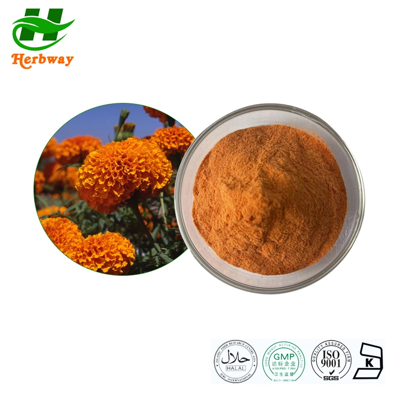 Herbway Kosher Halal FSSC HACCP Сертифицировано Zeaxanthin Lutein порошок Marigold Извлеките