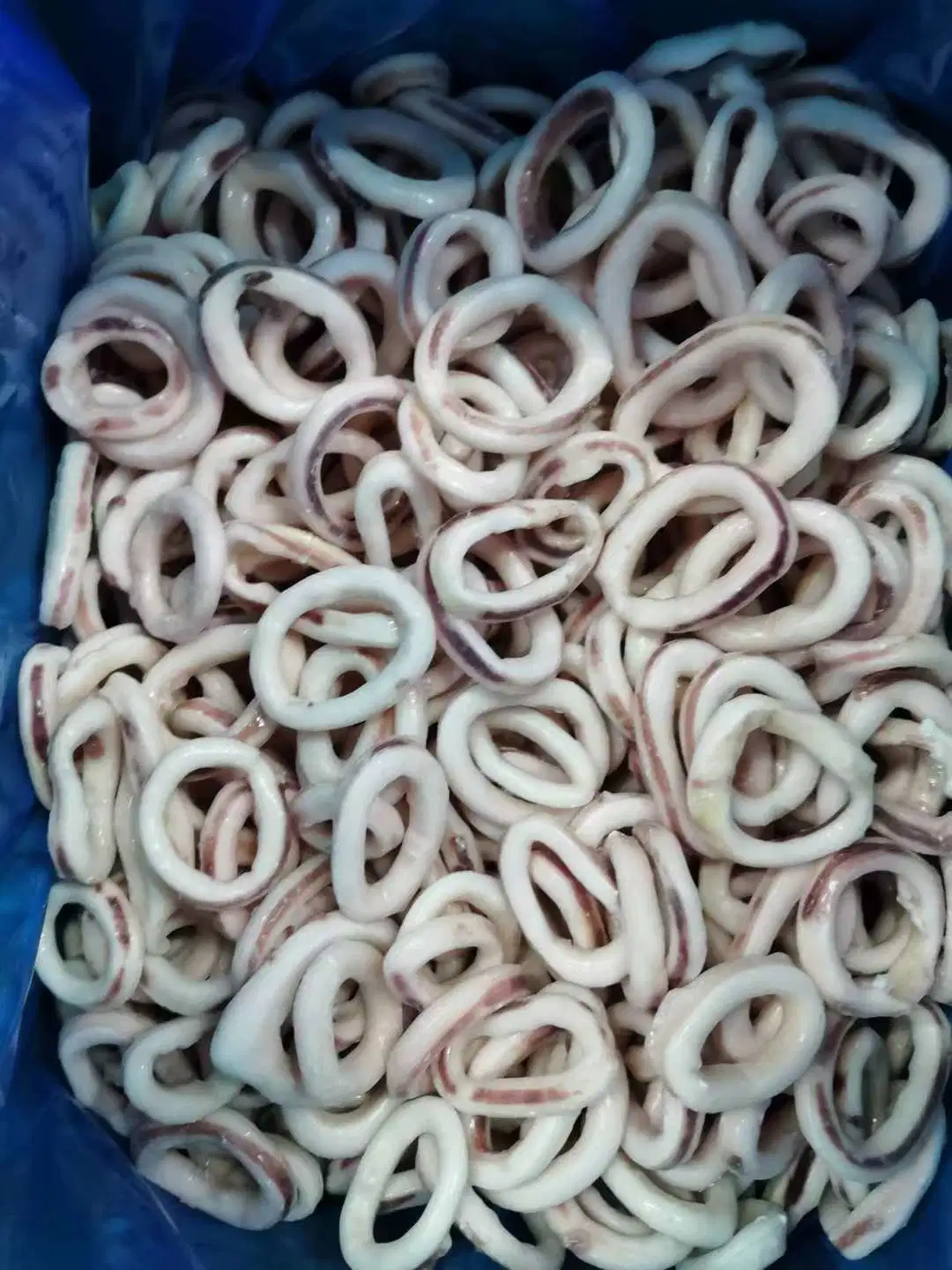 Squid Ring Squid Ring New Process Quality Fresh Seafood Squid Ring Frozen Squid