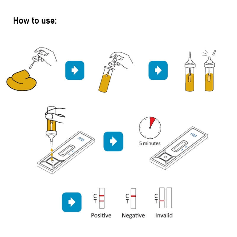 Accurate High Sensitivity Fob Feces Test Strip Cassette Fecal Occult Blood Tumor Marker Rapid Test Fob Kit Device with CE