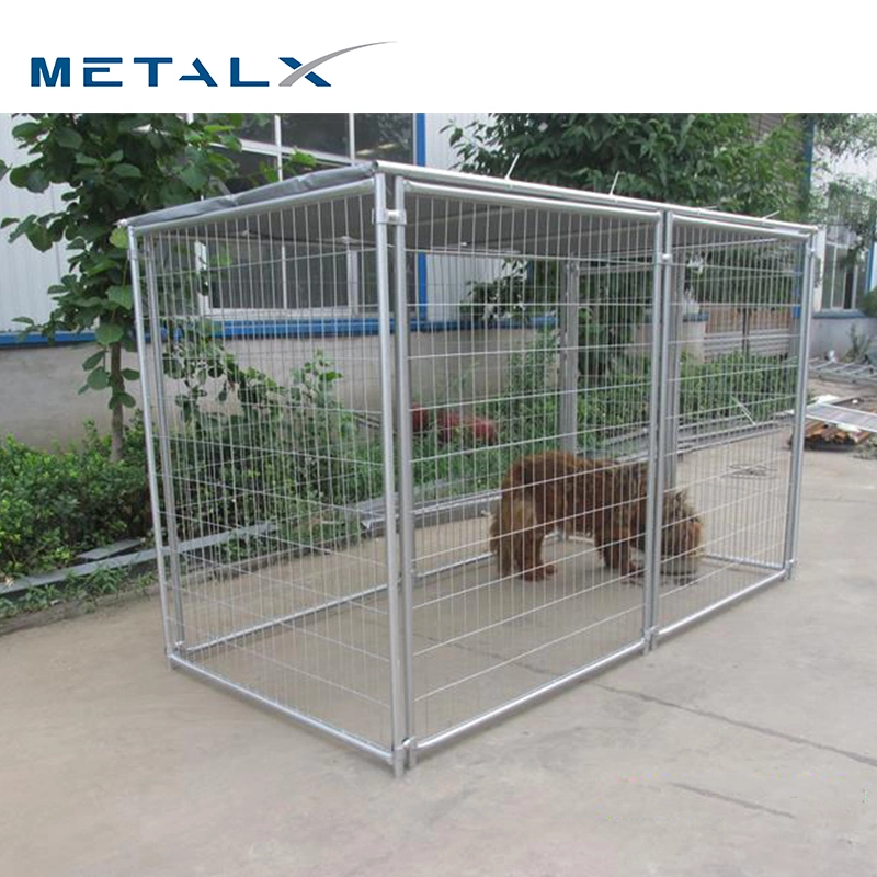 Dog Boarding Kennels Cages Collapsible Large Heavy Duty Double 2 Layer Stack Suppliers