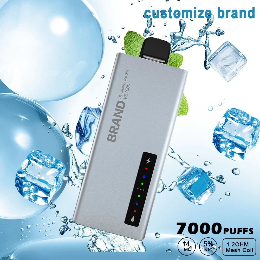 Custom 7000 puffs Torando Portable e-CIG Disposable/Chargeable Electronic Smoking Device Cigarro de vape