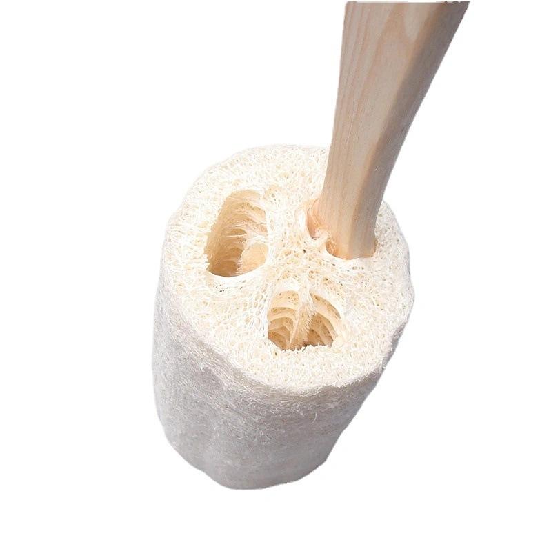 Natural Biodegradable Loofa Body Lufa Dish Sponge Scrubber Sponge