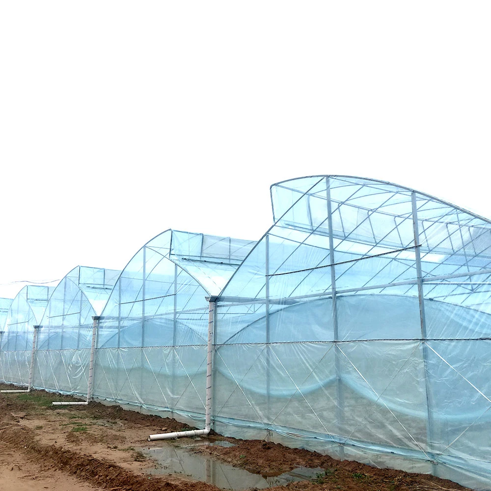 Agriculture/Commercial Multi Span Tough Glass Film Green House Film for Vegetable/Flower/Fruits with Hydroponics/Irrigation/Temperature Control System