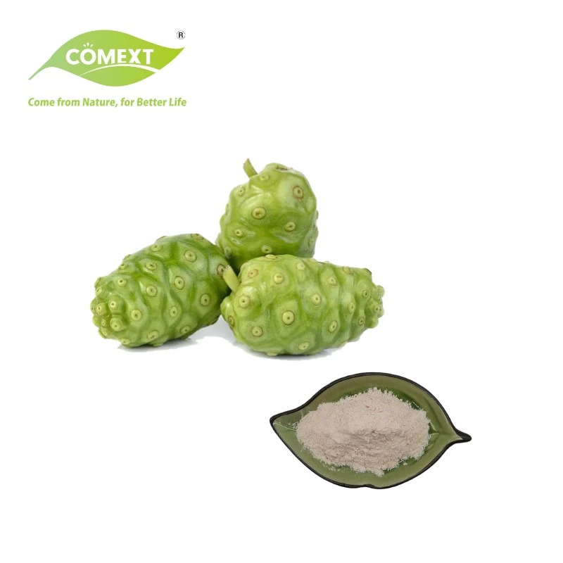 Comext activité anti-tumorale extrait de plante Morinda Citrifolia extrait / Pure Extrait de fruit Noni sans échantillon