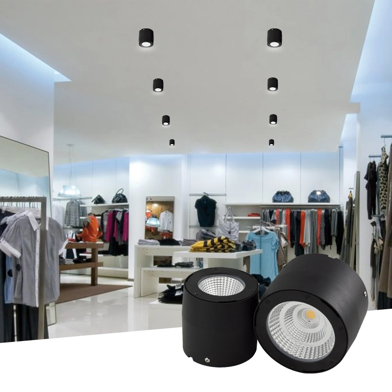 IP65 Waterproof Surface Mounted LED Indoor Spot Light Adjustable Down LED Ceiling Light for 40W 50W Indoor Lamp