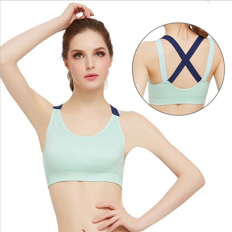 Wholesale/Supplier Gym Clothing Padded Sports Bra