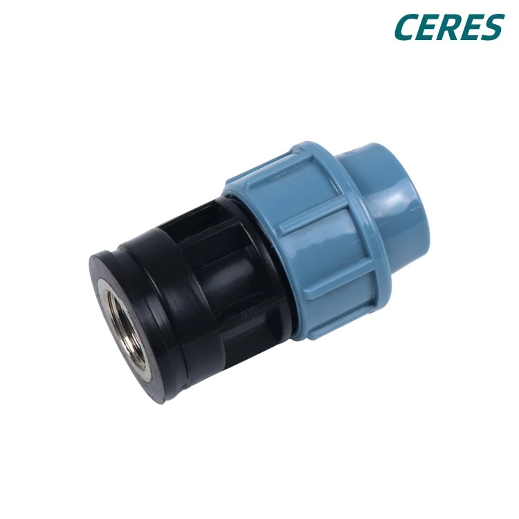 Pn 16 PP Compression Fitting Female Threaded Coupling for HDPE Hose