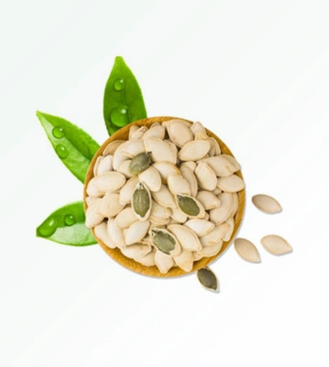 El extracto de semilla de calabaza en polvo para alimentos funcionales