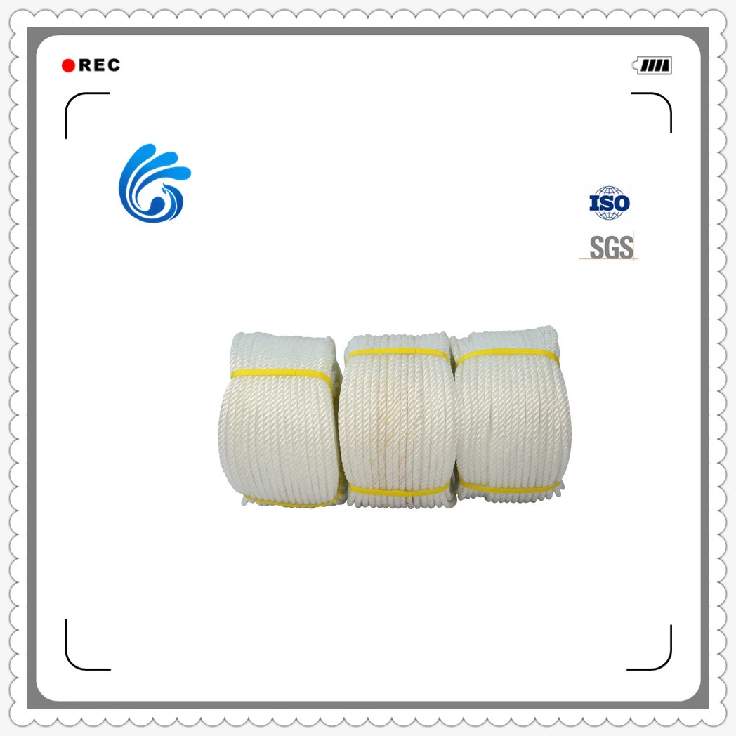 Low Price Safety PP Polypropylene Signal Rope for Outdoor Application
