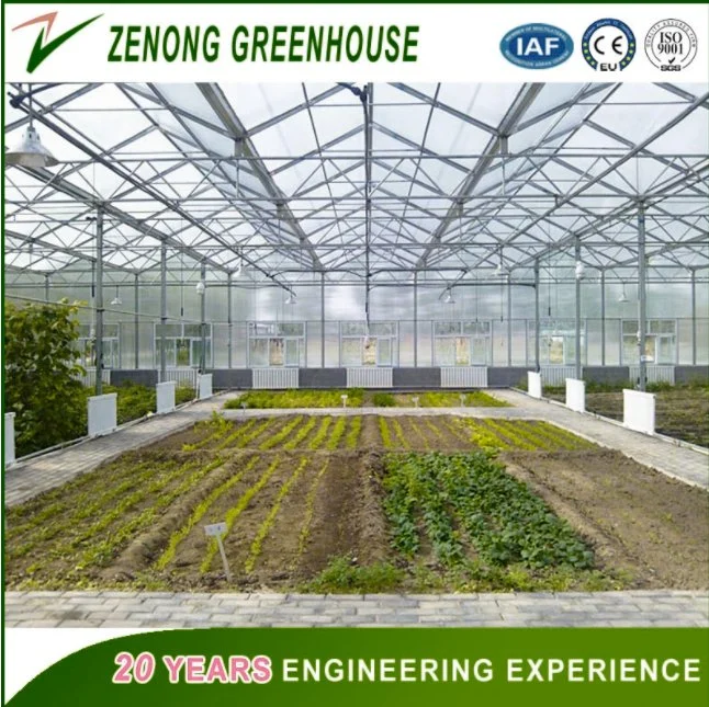 China Hot Sale Greenhouse Covered with PC Board for Exhibition/Seed-Breeding/Flower/Vegetable/Ecological Restaurant/Scientific Research/Garden