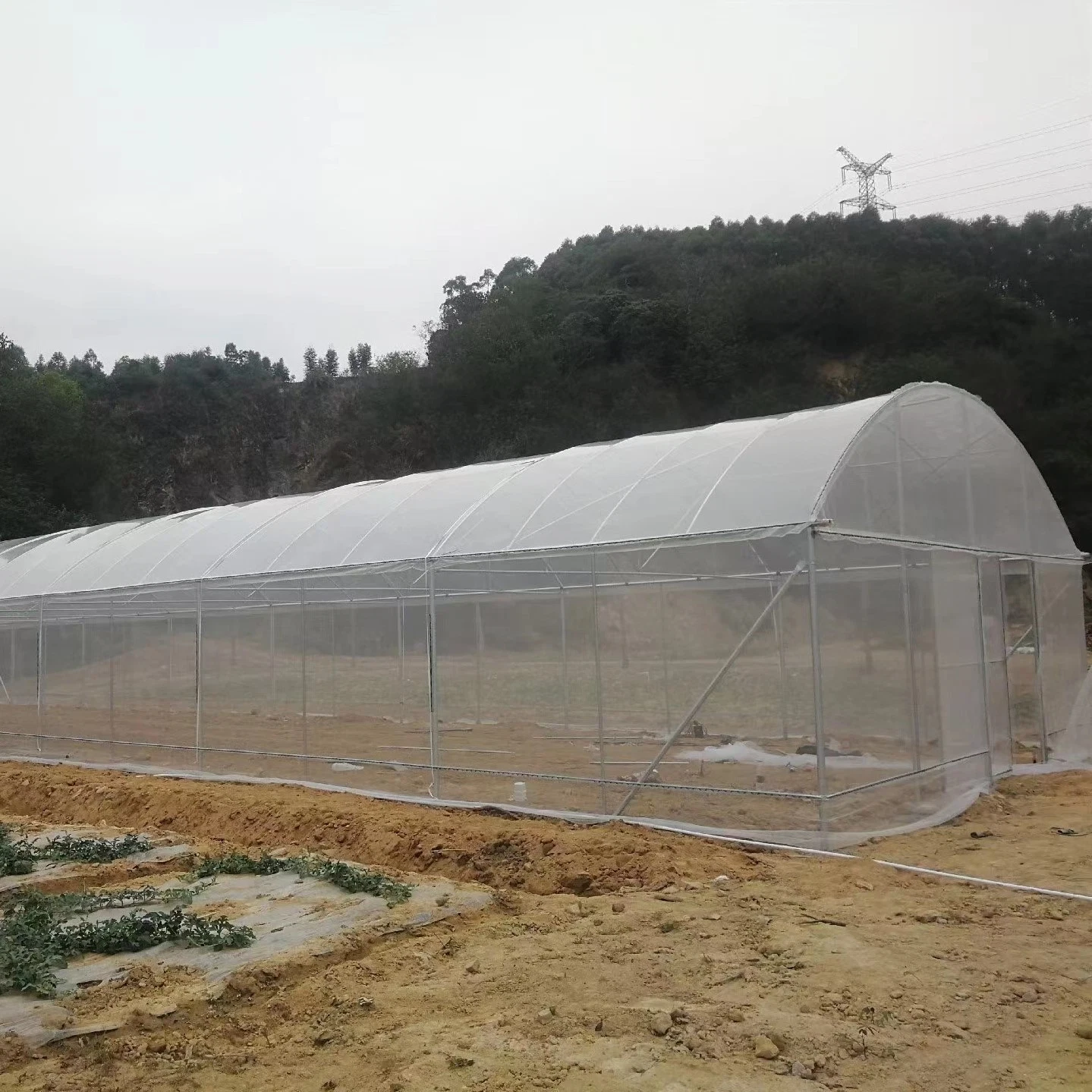 Premium Quality Sustainable Gardening UV Resistant Film Transparent for Greenhouse Roofing Agriculture Low Cost