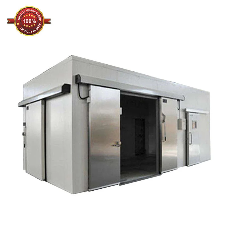 Walk in Freezer Mobile Container Chiller Freezing Cool Room PU Panel Frozen Ice Cream Vegetable Fruit Food Storage Cold Room for Sale