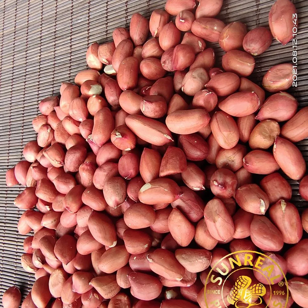 Raw Peanut Kernels/Red Skin/Superior Quality/Multipurpose/Pukee Foods/Sunreal