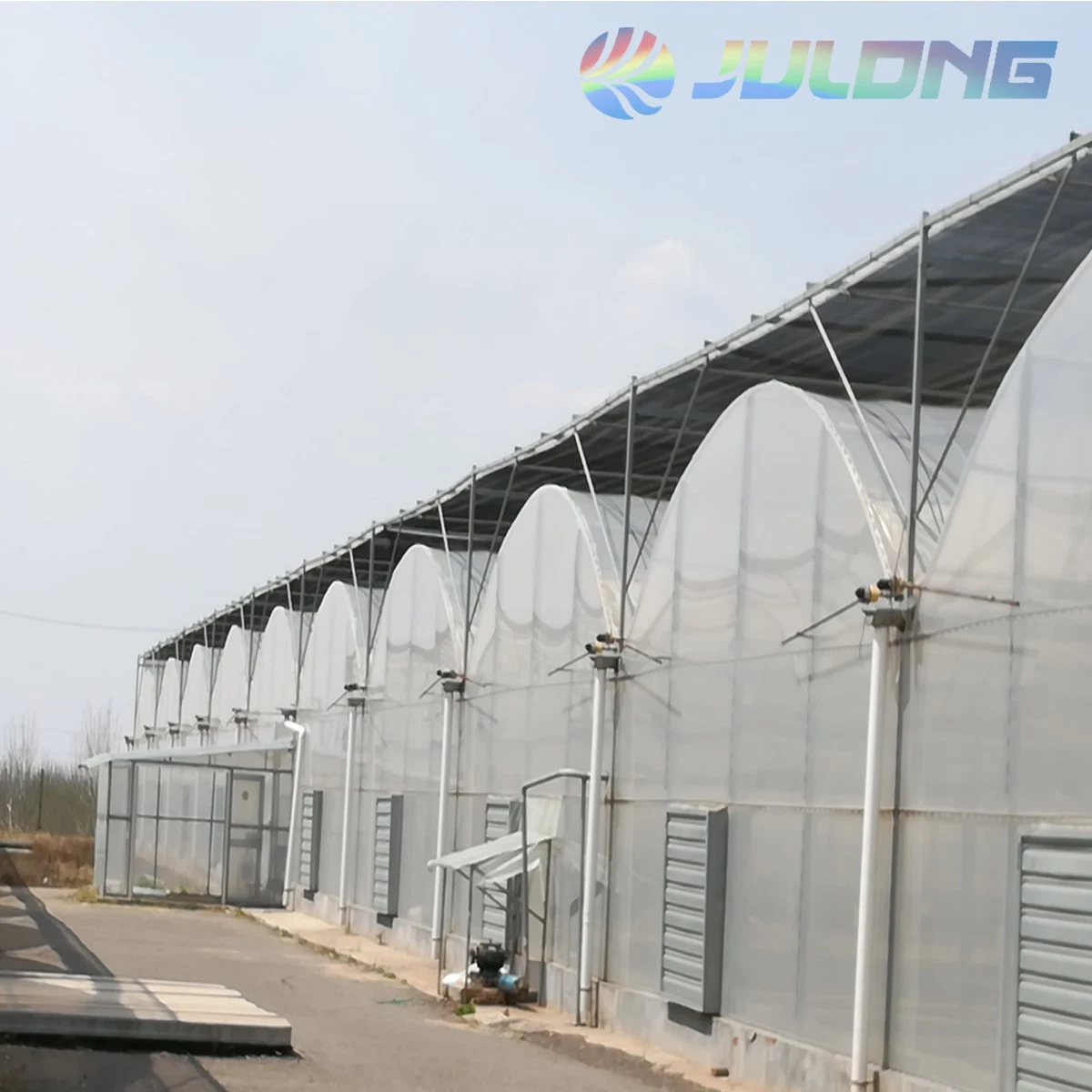 Hot Sale and Popualr Multi-Span Plastic Film Greenhouse with Hydroponic Growing System