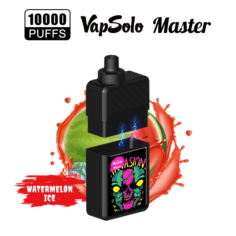 Vapsolo Wholesale/Supplier Private Label Disposable/Chargeable Vape Replace Pod Master 10K Rechargeable Pen