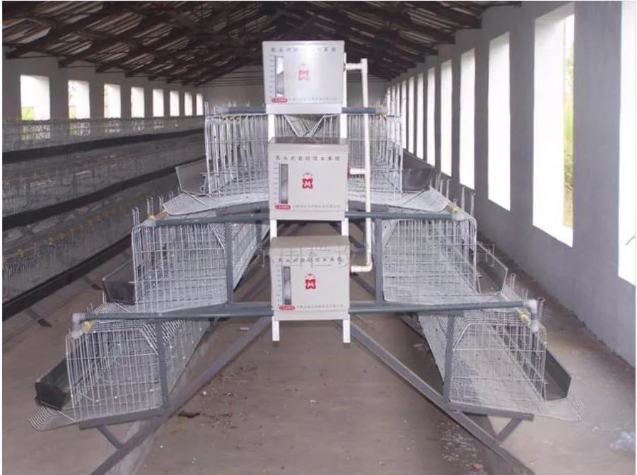 Poultry Farm Equipment Chicken Cage Automatic or Semi-Automatic