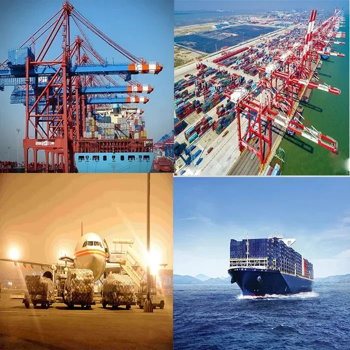 Cheap Price Shipping Agent in China to Africa Fob Shipping Agent by Sea