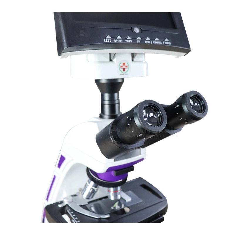 Sy-B129t Medical Equipment Optical Microscope for Science Laboratories