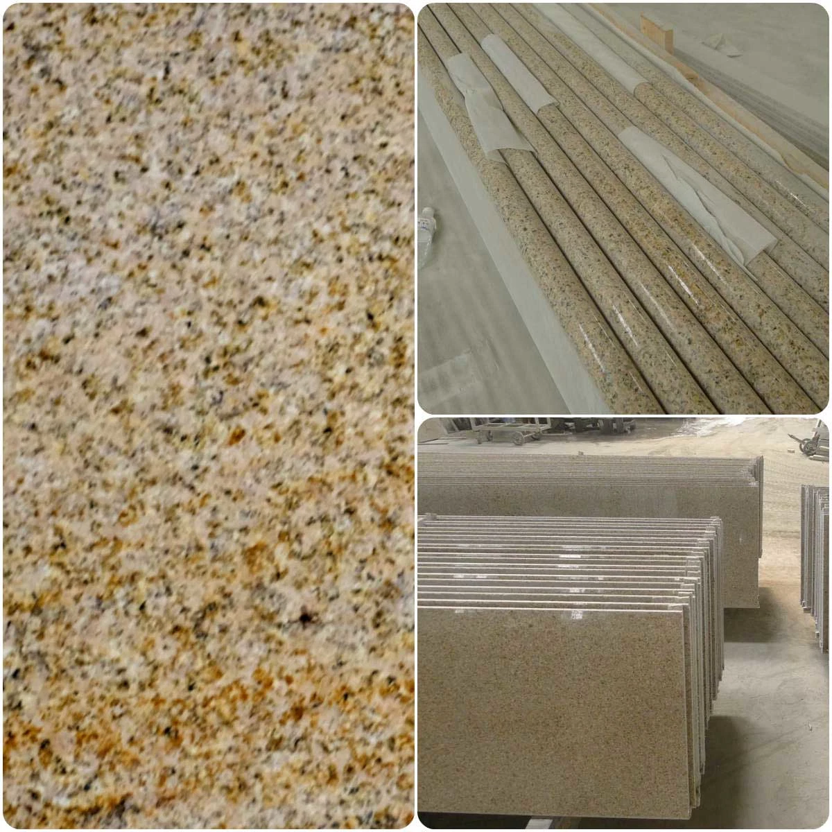 Polished Natural Yellow/Gold Granite Tiles/Slabs Giallo Cecilia"N" for Flooring/Counter Tops