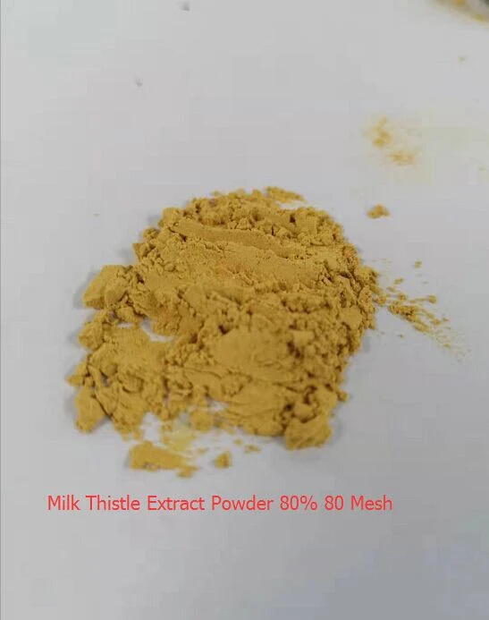 Support Liver Health Herbal Plant Extract Organic Milk Thistle Extract