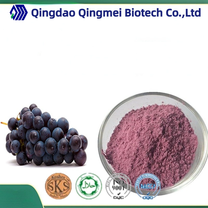 Factory Supply Grape Juice Powder