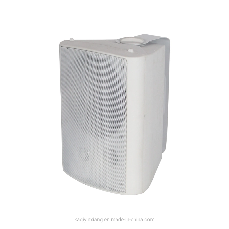 Indoor /Outdoor Mouted Passive Mounted Stereo Wall Speaker for Conference