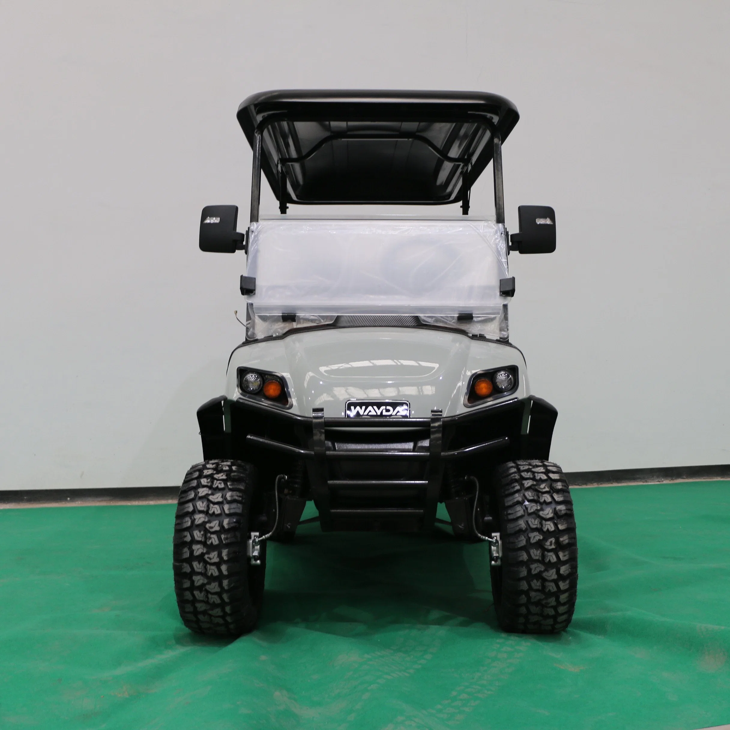 Electric Golf Cart with Entertainment Audio and Light Tape