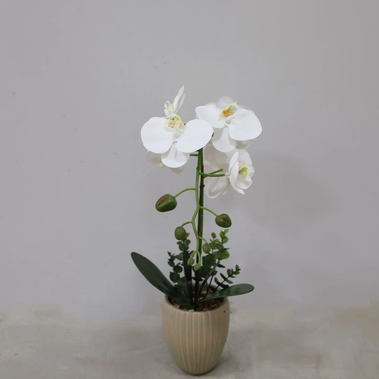 Phalaenopsis Moth Orchids Artificial Silk Flower Indoor Potted Green Plants