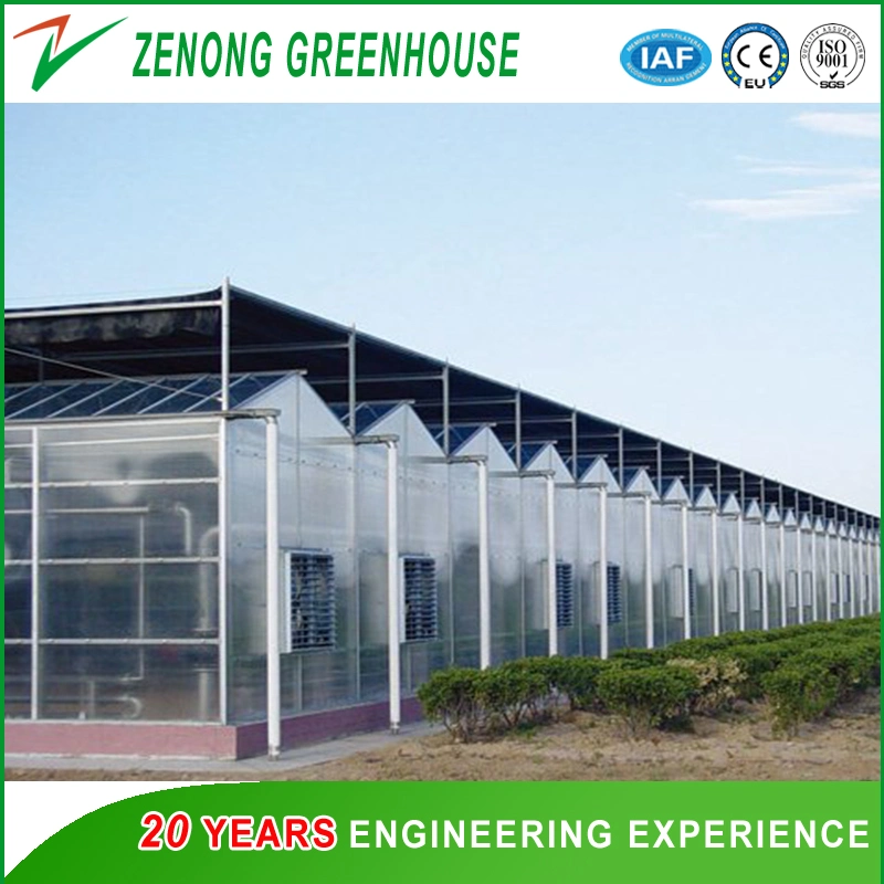 Customized High Quality Gutter Connected Polycarbonate Green House for Sale