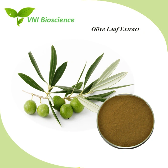 Kosher Halal Certified 10%~80% Oleuropein Olive Leaf Extract