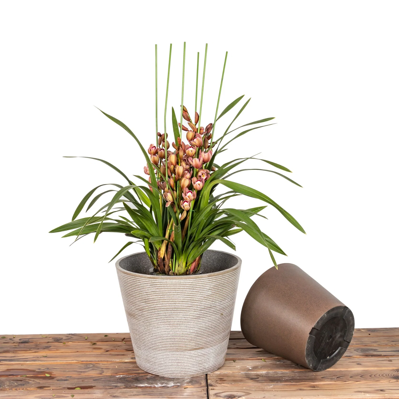 Home Decoration Eco Friendly Plastic Plant and Flower Pot Natural Stone Finishing