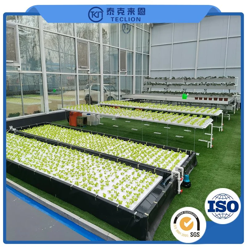 Container Hydroponics Equipment in Agricultural Greenhouse Vertical Agricultural Hydroponics System