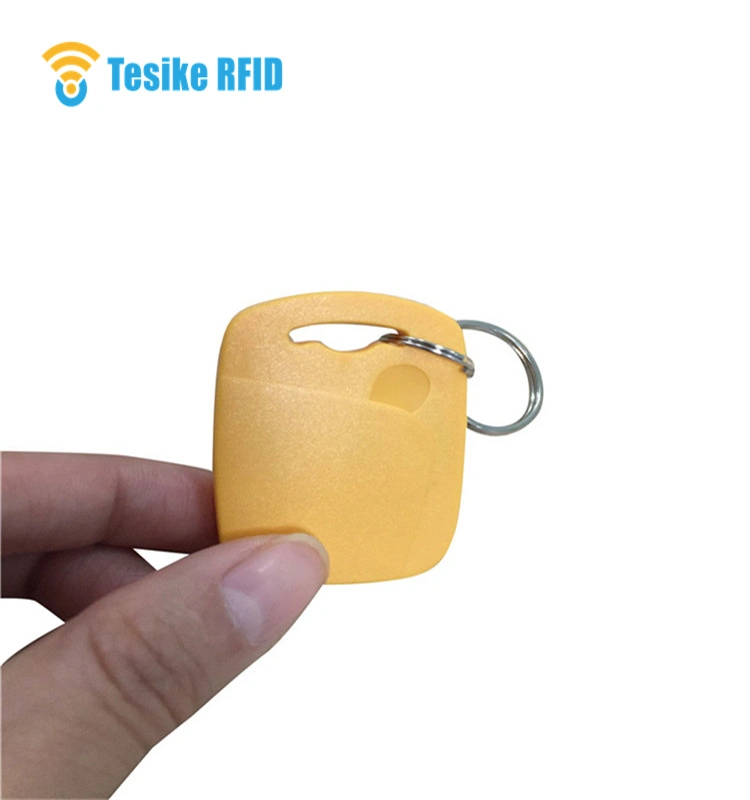 125kHz Lf RFID Key Fob Tag with Tk4100 T5577 with Logo Printing