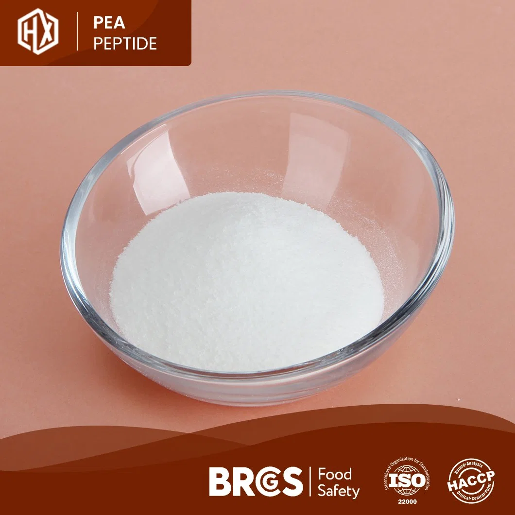 Haoxiang High Purity Water Soluble Small Molecule Pea Peptide OEM Custom Food Grade Bulk High Purity High Protein EU Organic Isolated Pea Sprout Peptide Powder